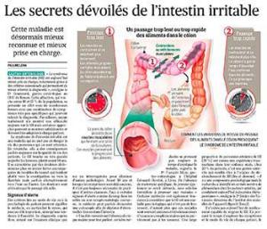 intestin_part9
